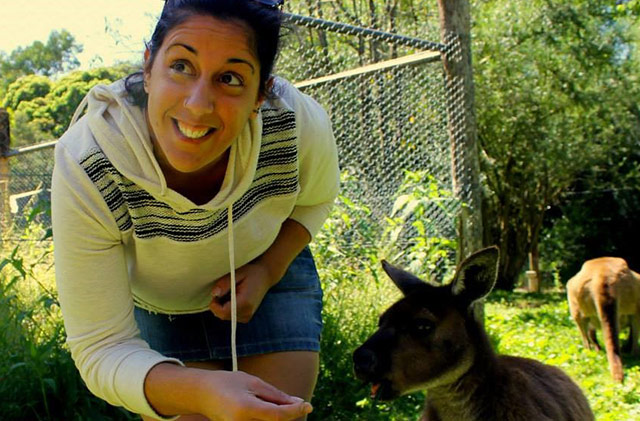 Feeding Kangaroo